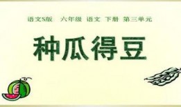 吃瓜前线第一人 瓜瓜吃瓜ppt,揭秘“吃瓜前线第一人”的精彩PPT世界